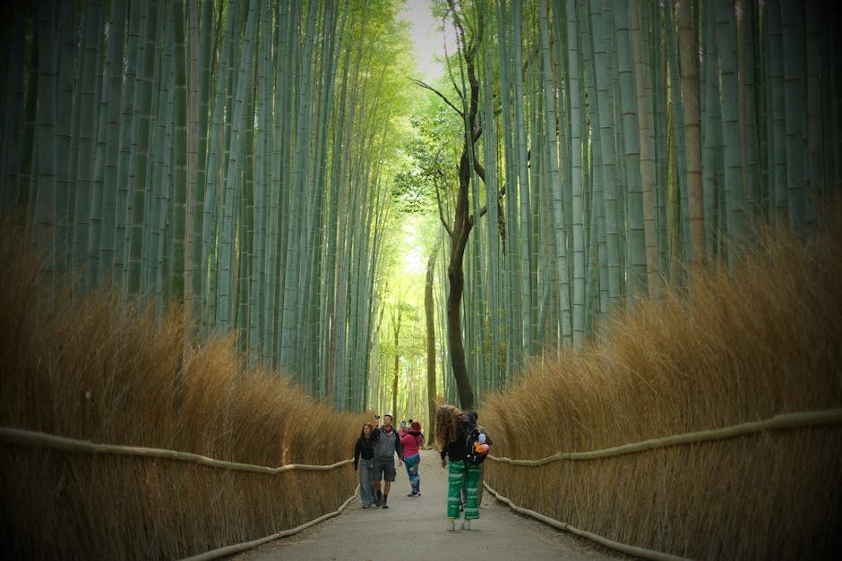 Arashiyama Bamboo Grove pathway in Kyoto