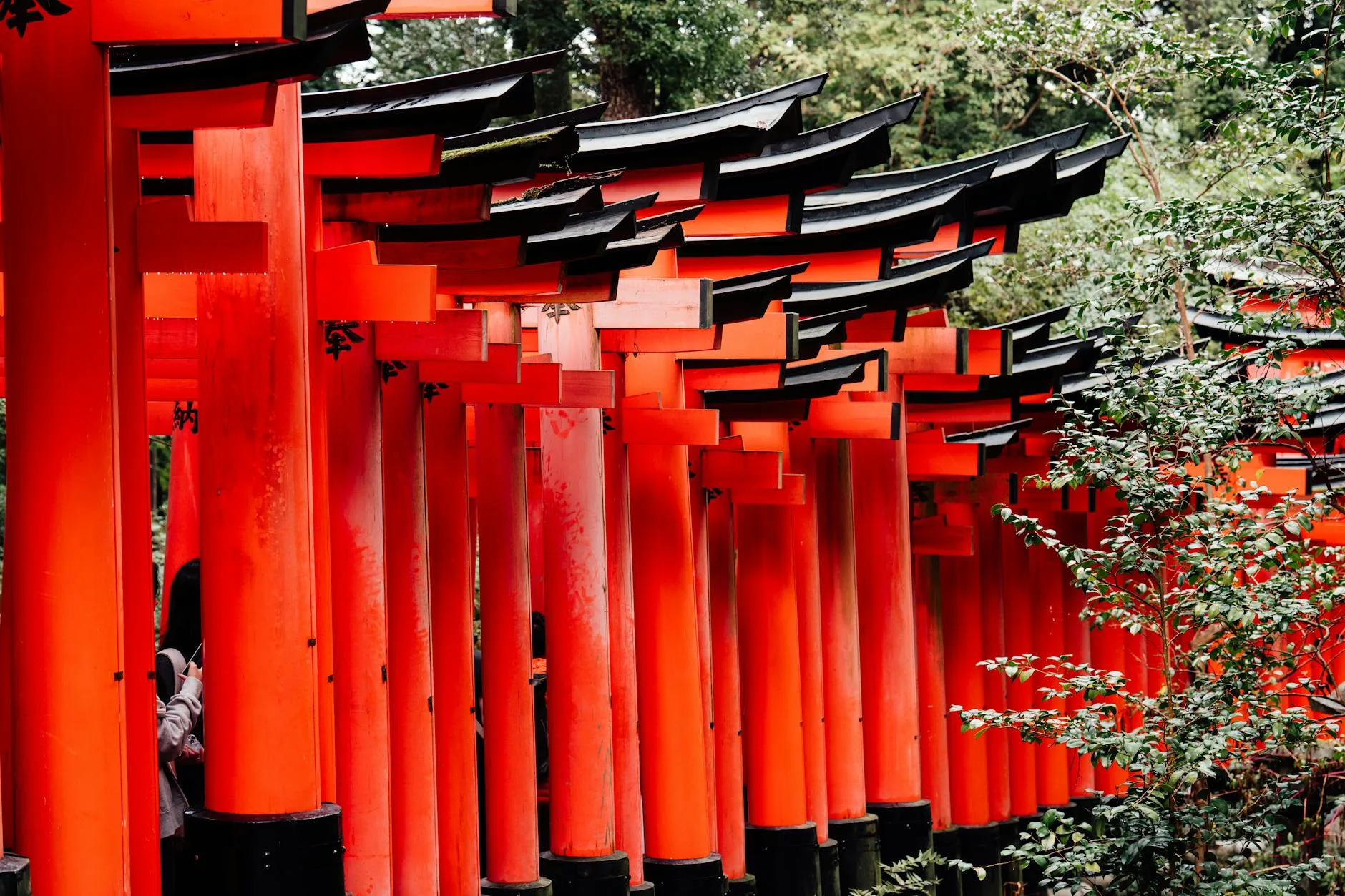 kyoto travel — Emma Roams