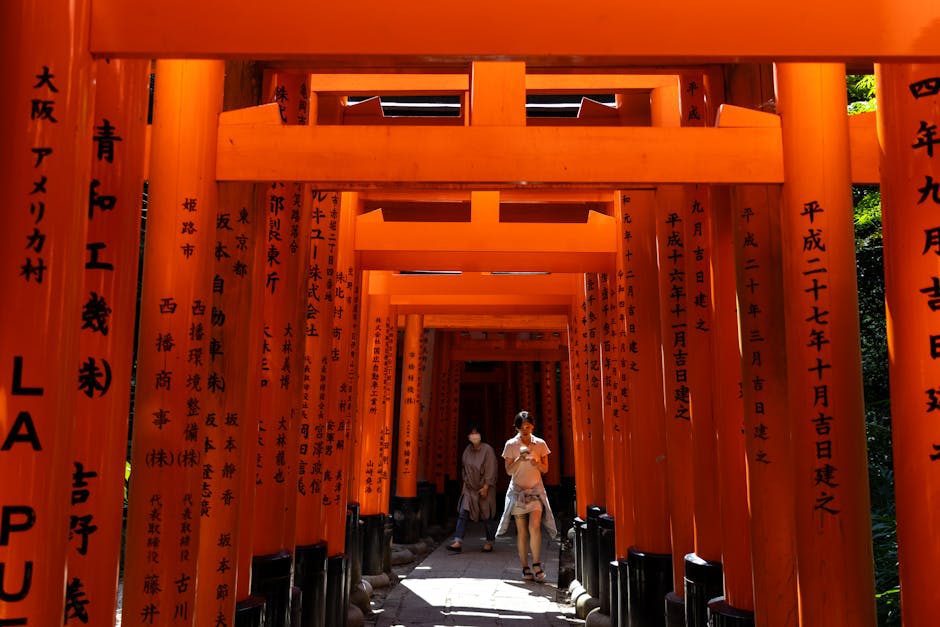 Fushimi Inari torii gates in early morning light