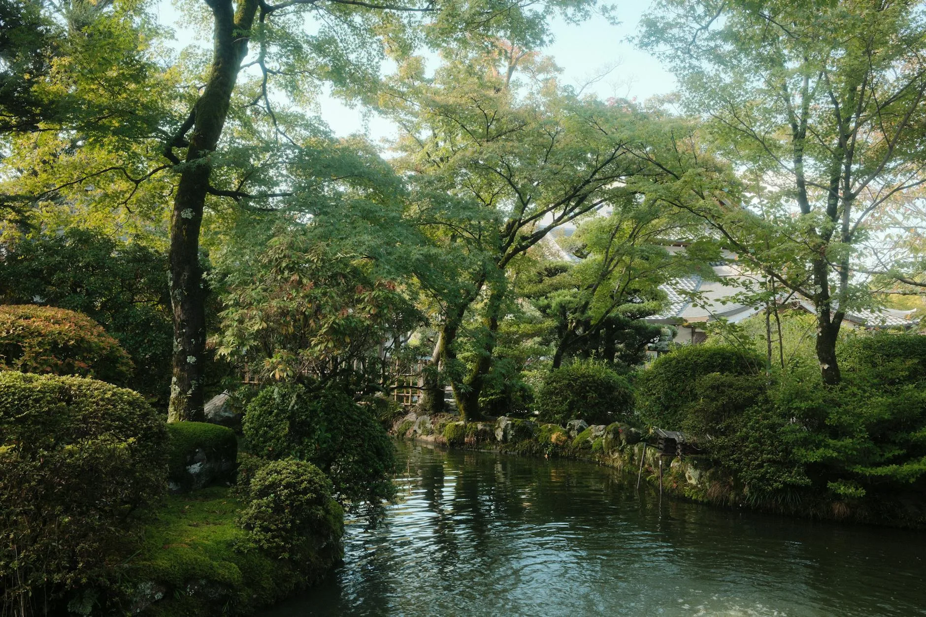 kyoto local experience — Emma Roams