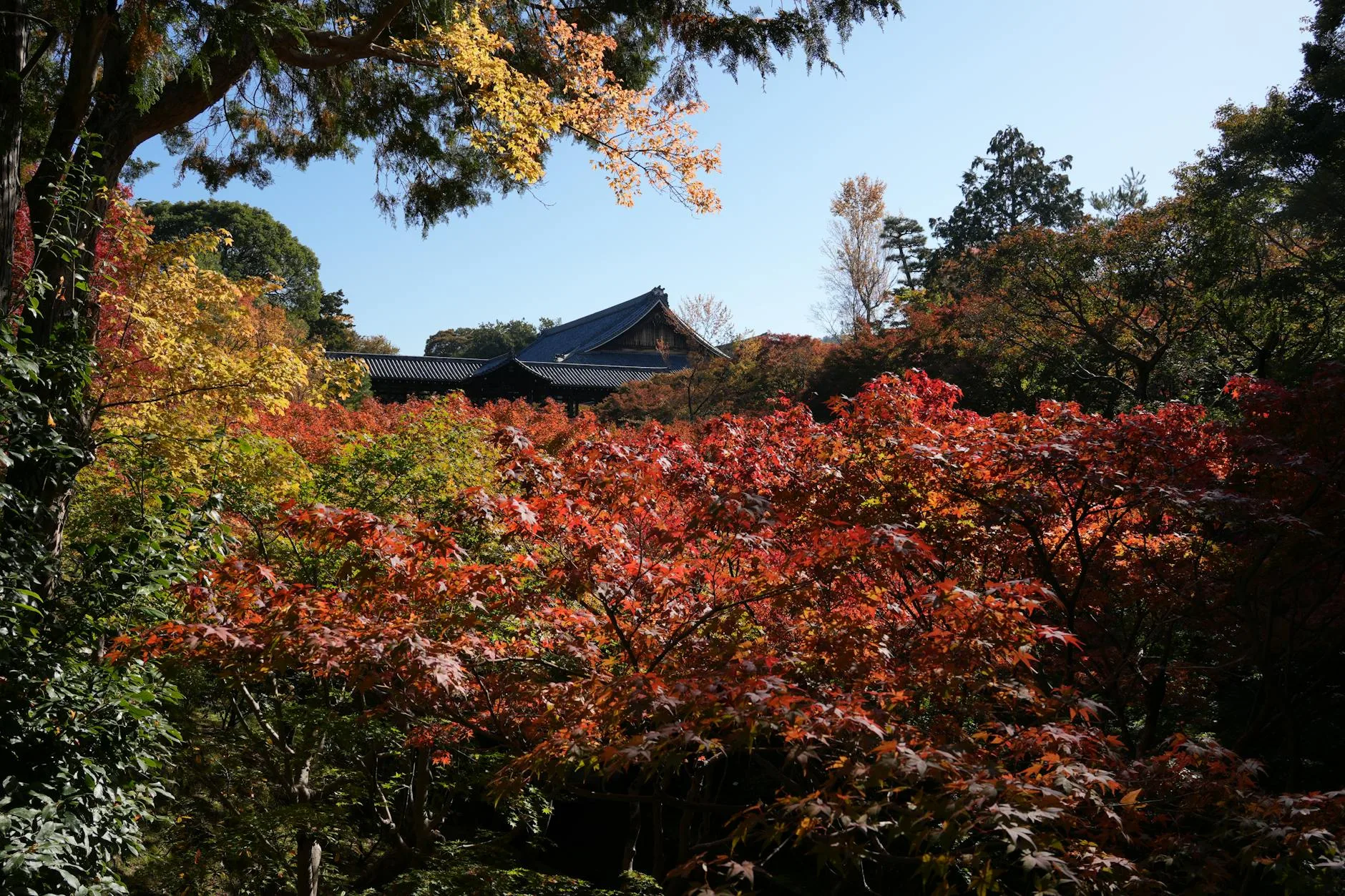 kyoto local experience — Emma Roams