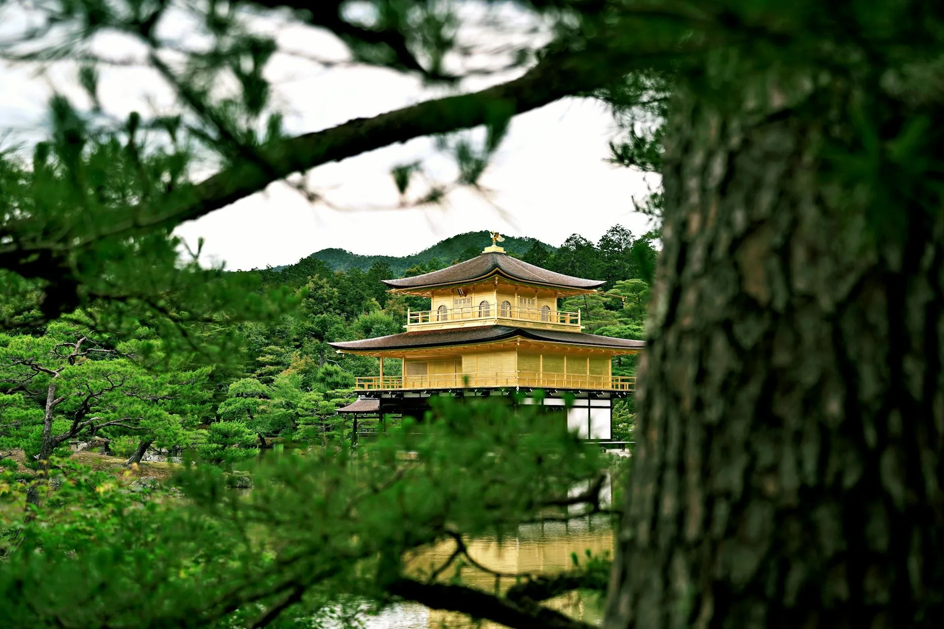 kyoto travel guide — Emma Roams