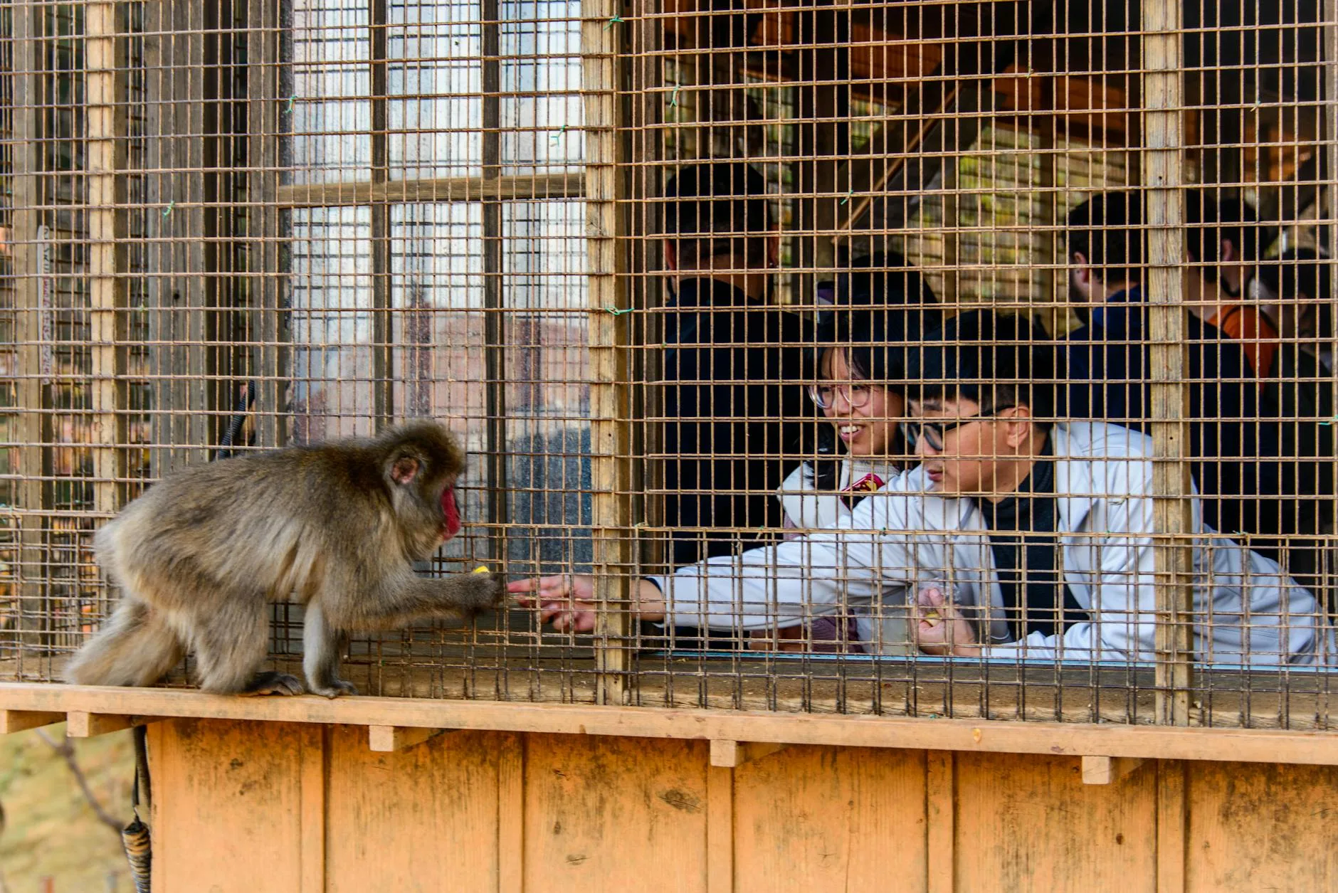 kyoto travel guide — Emma Roams