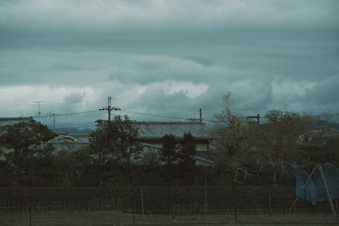 kyoto local experience — Emma Roams