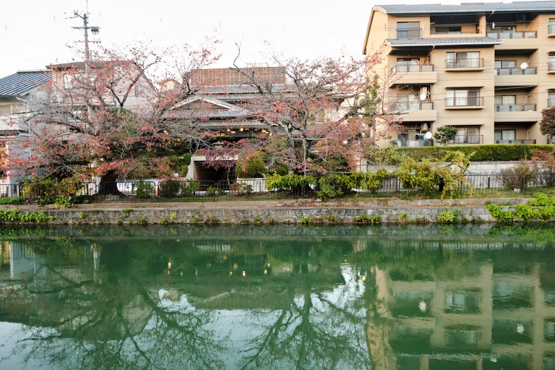 kyoto local experience — Emma Roams