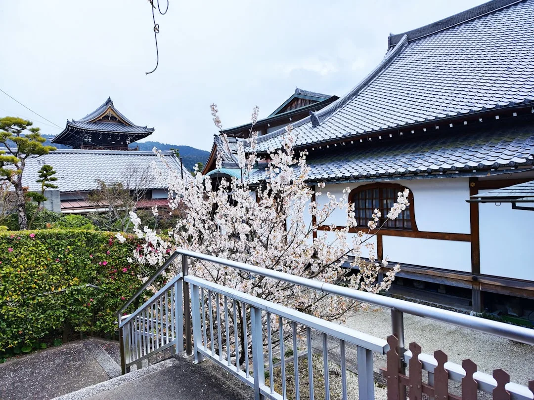 kyoto local experience — Emma Roams