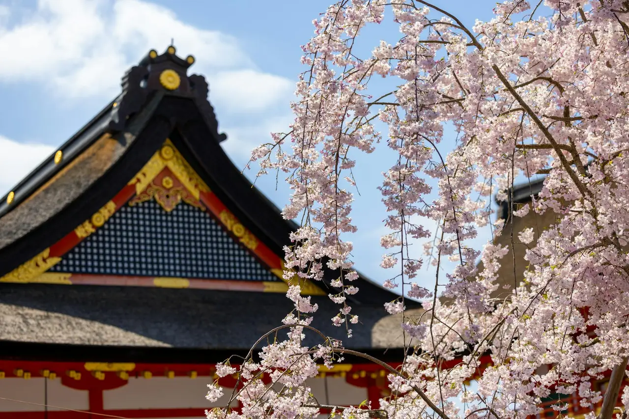 nagoya Castle — Emma Roams