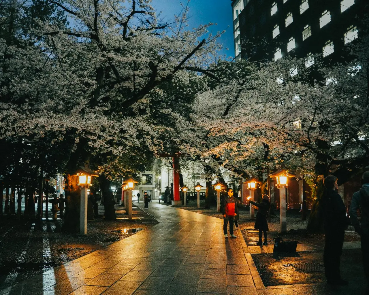 Nagoya travel guide — Emma Roams