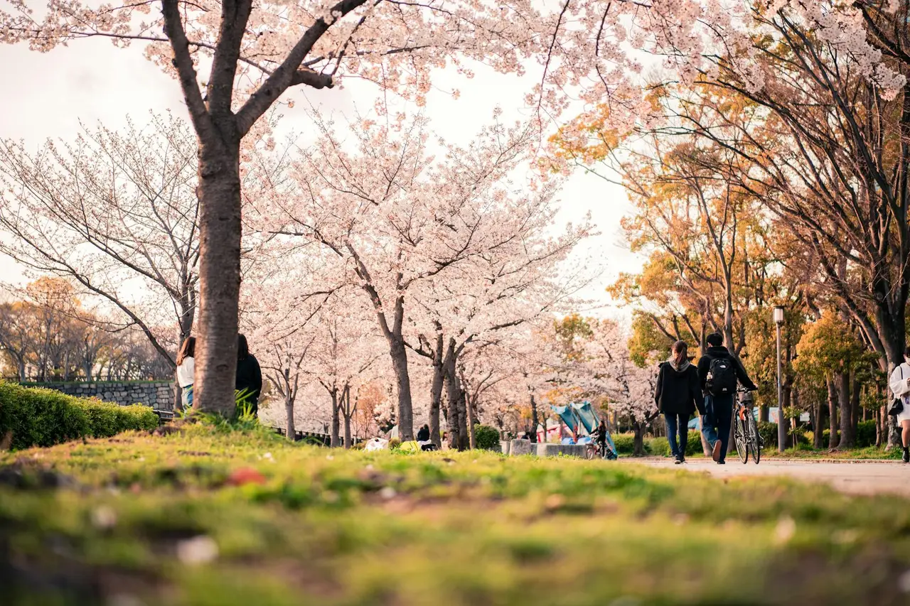 osaka Osaka Castle — Emma Roams