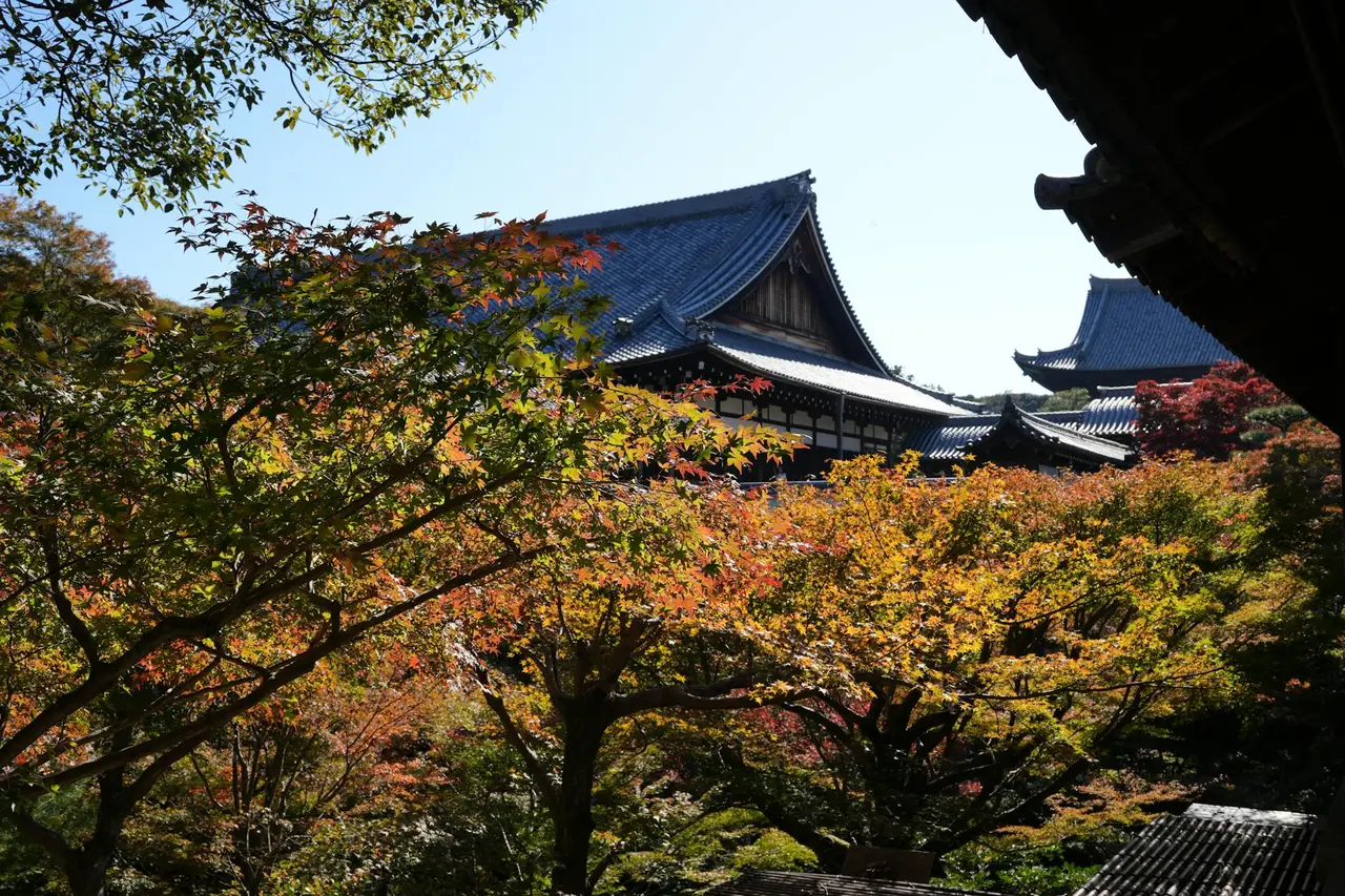 osaka travel guide — Emma Roams