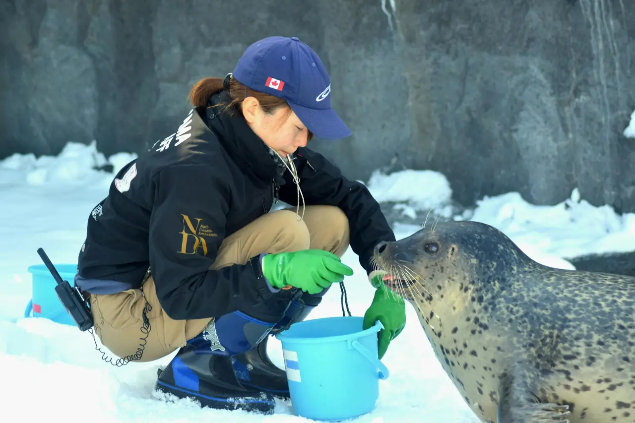 Sapporo travel itinerary — Emma Roams