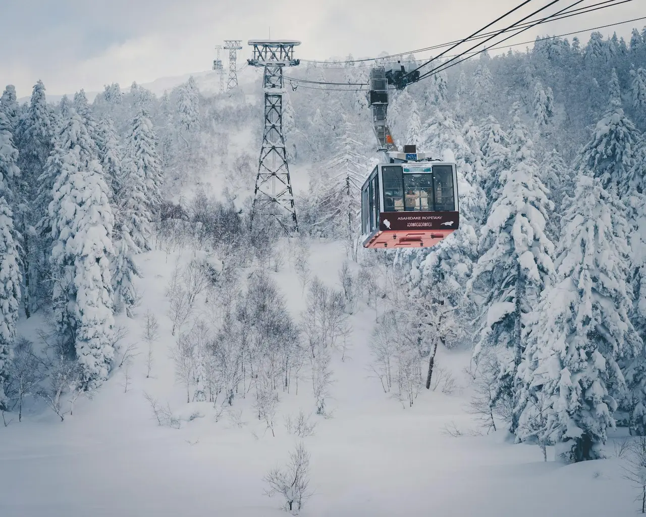Sapporo travel guide — Emma Roams