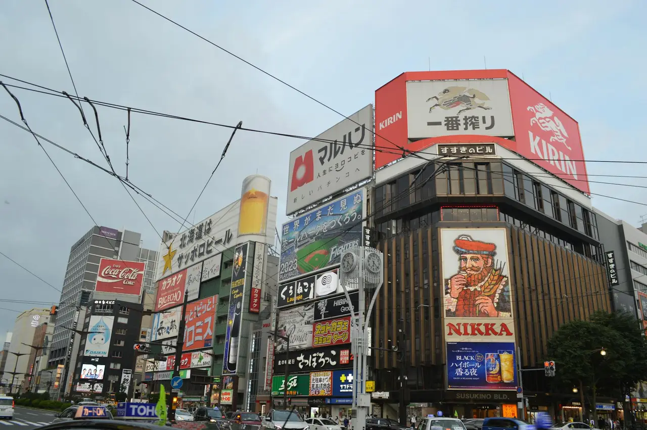Sapporo travel guide — Emma Roams