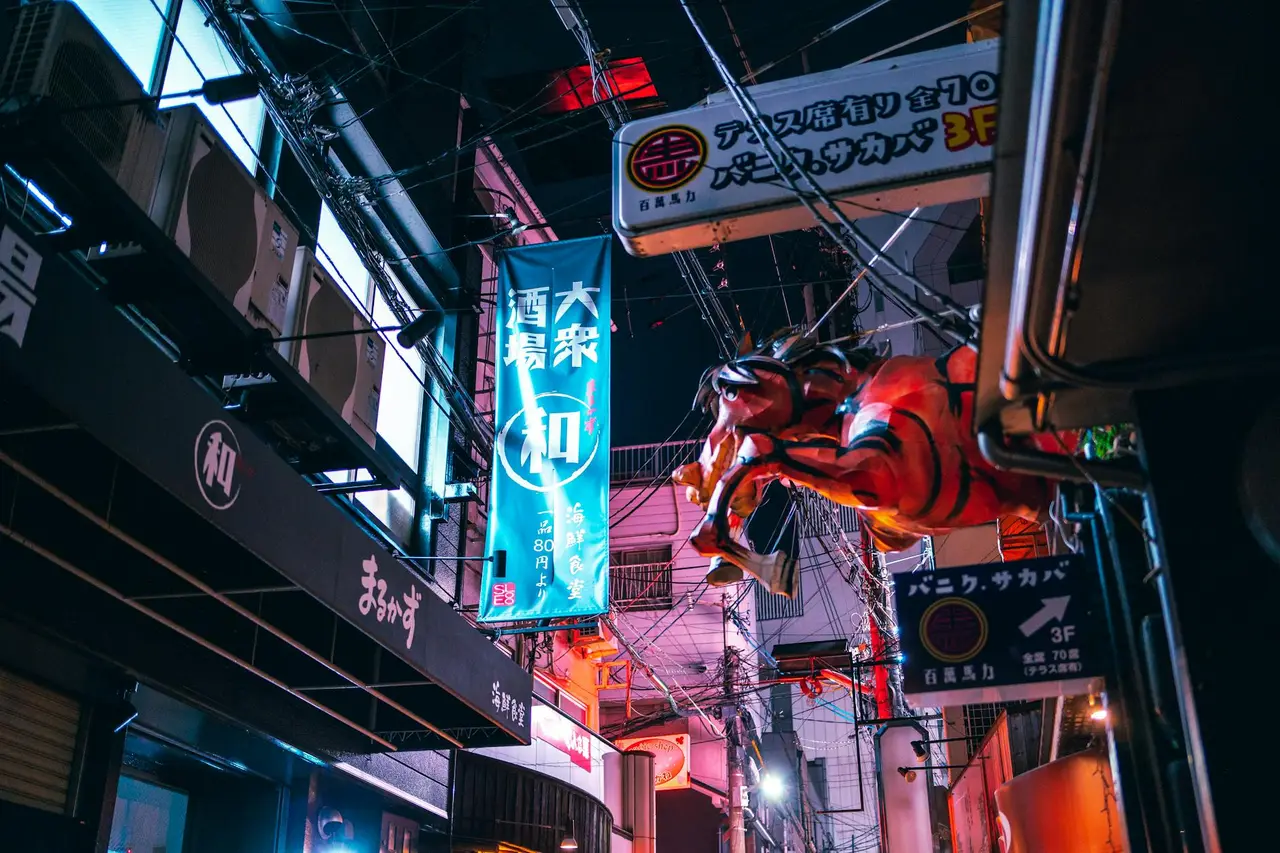 sapporo Nijo Market Night — Emma Roams
