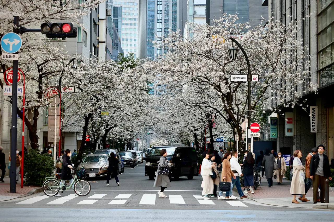 Sapporo travel guide — Emma Roams