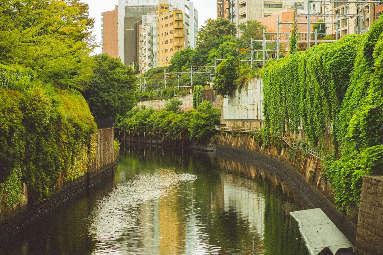 sapporo Parks — Emma Roams