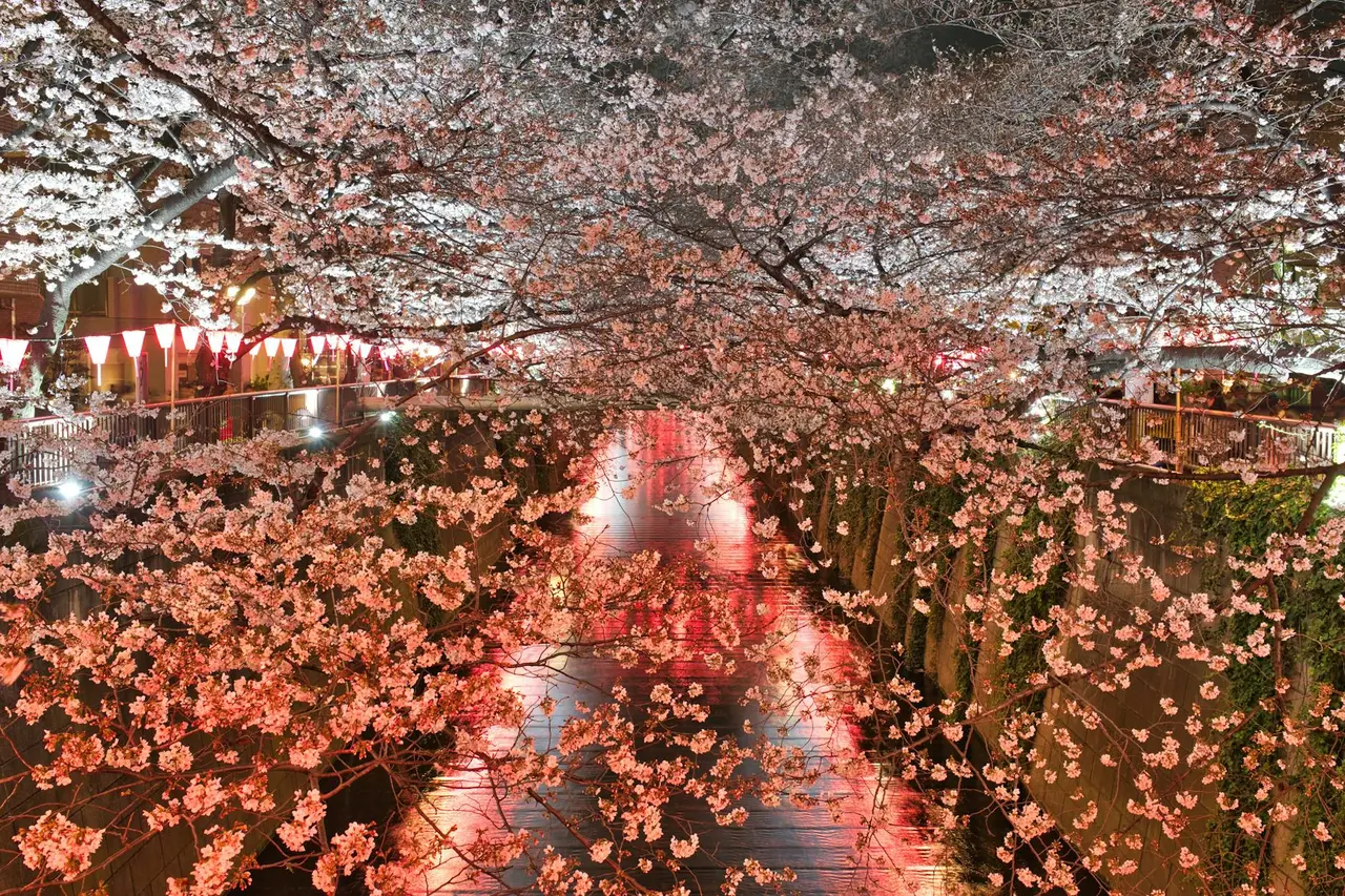 Meguro, Japan — tokyo