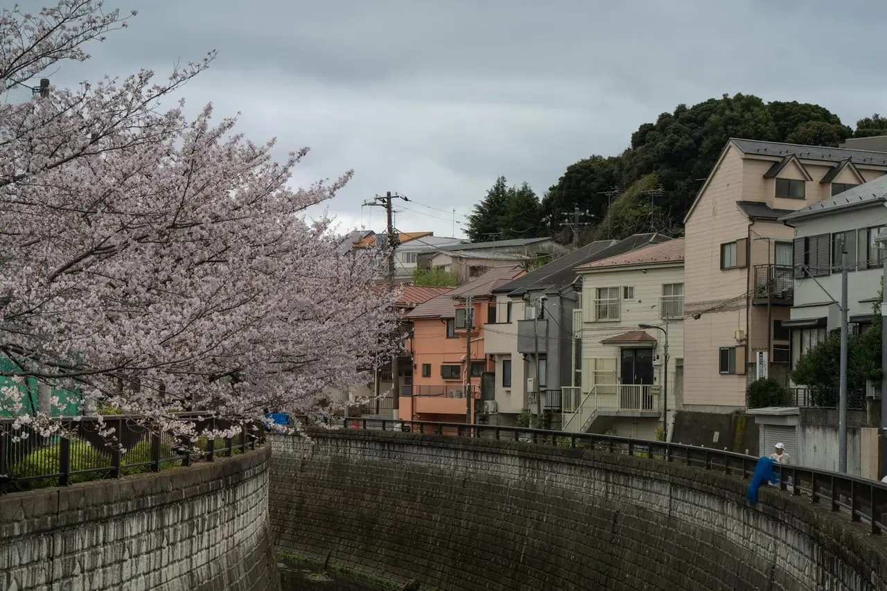 Choosing, Japan — tokyo