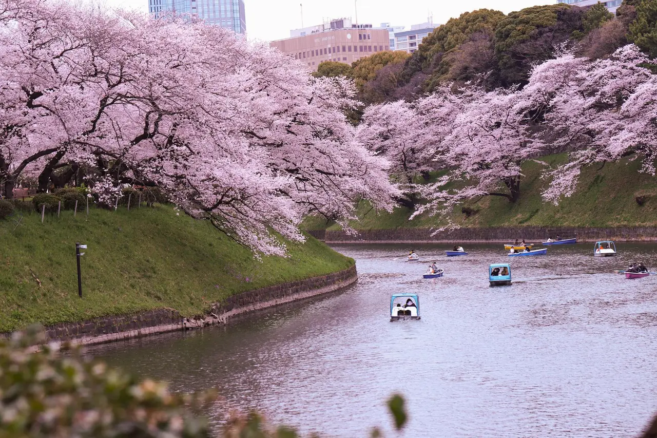 tokyo travel guide — Emma Roams