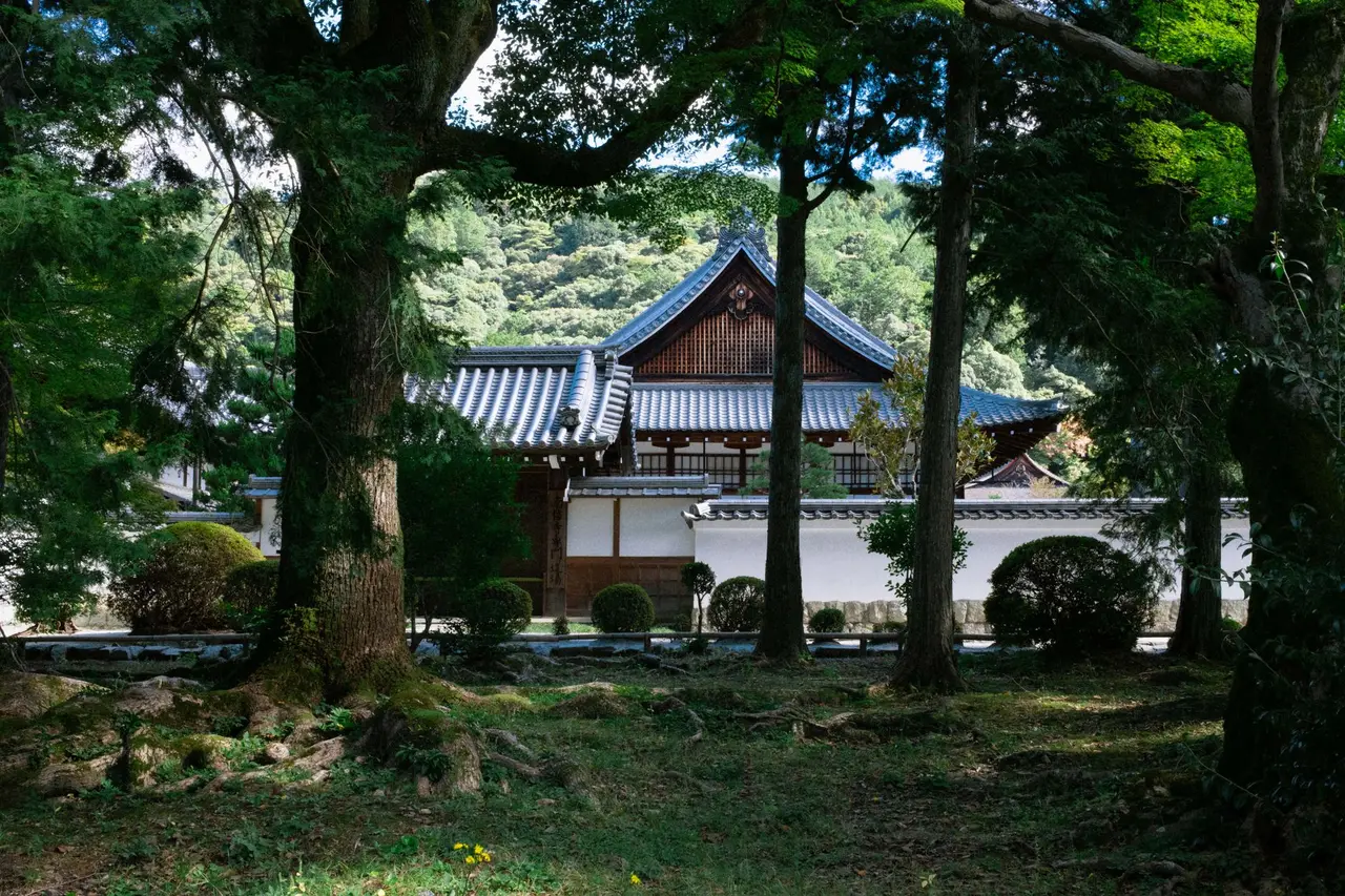 Nagoya — Emma Roams