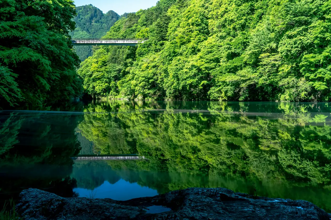 nagoya — Emma Roams