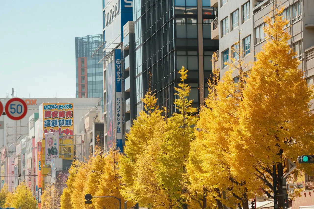 Nagoya travel guide — Emma Roams