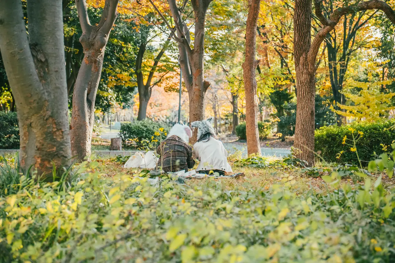 Nagoya — Emma Roams