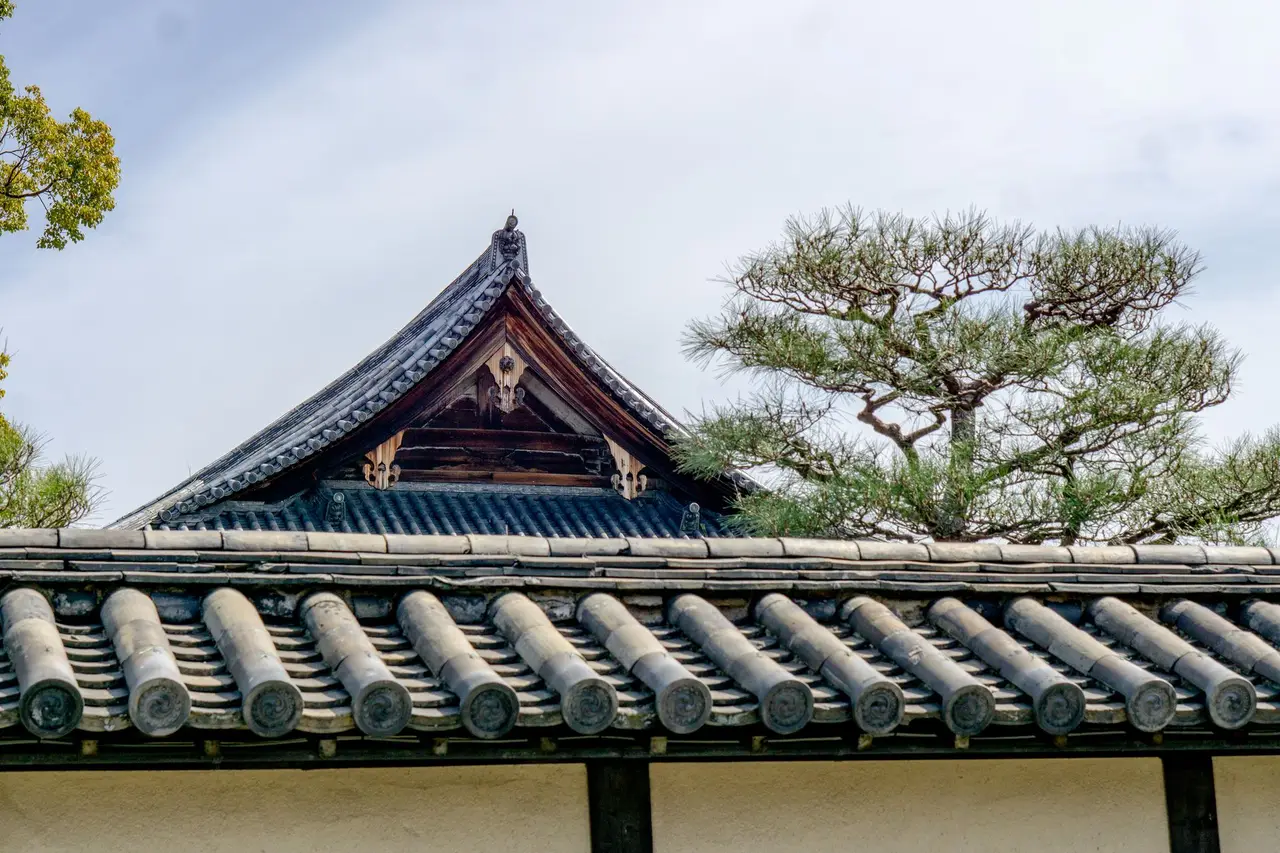 Nara travel guide — Emma Roams