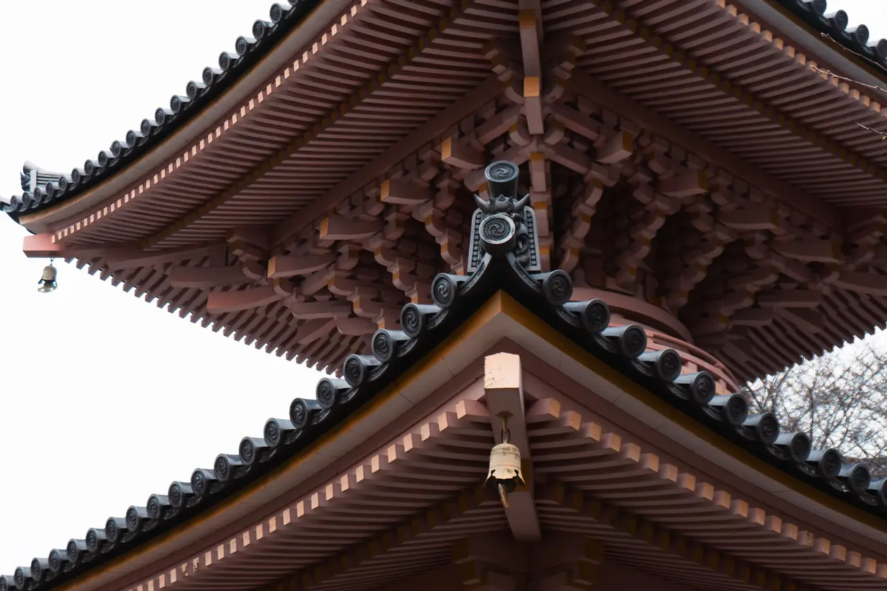 nara Nara Park — Emma Roams