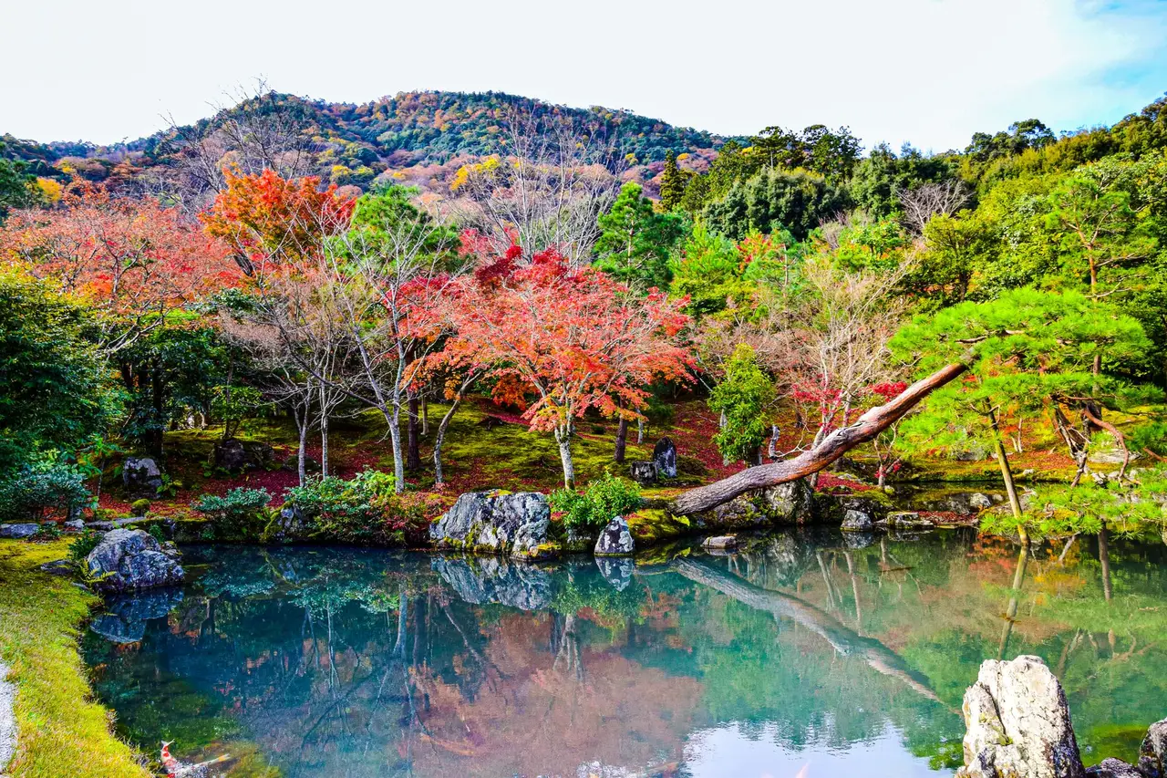 nara sightseeing — Emma Roams