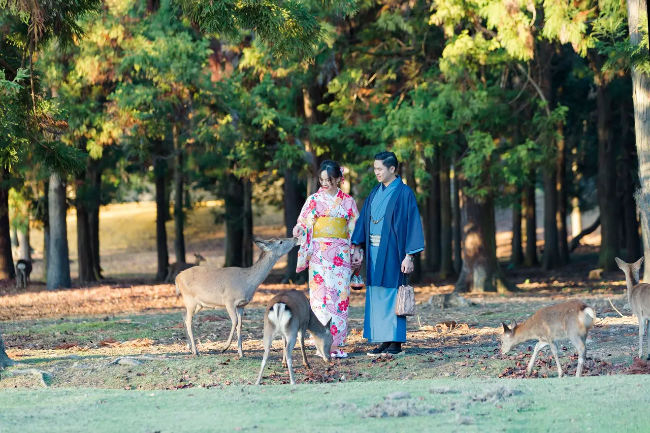 Autumn, Japan — Nara
