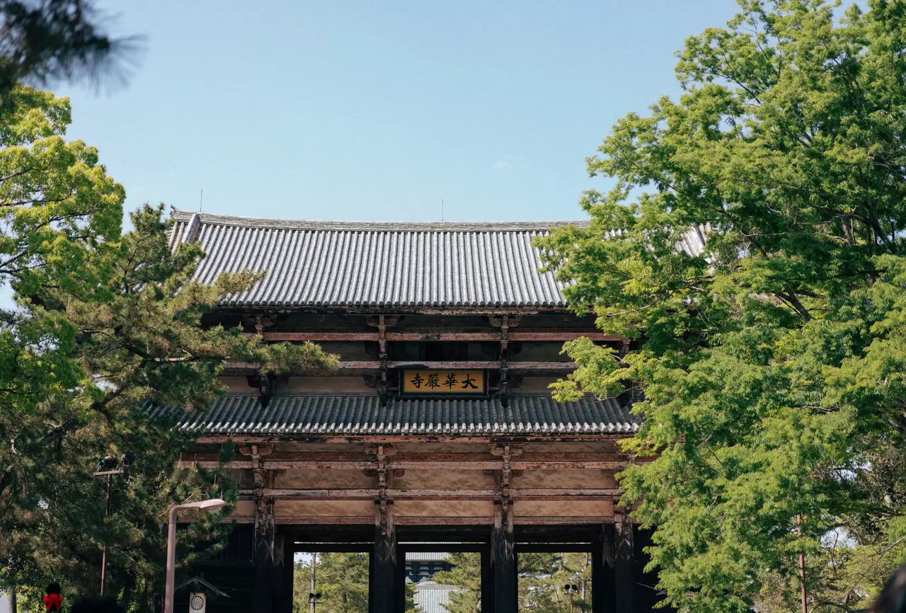 Spring, Japan — Nara