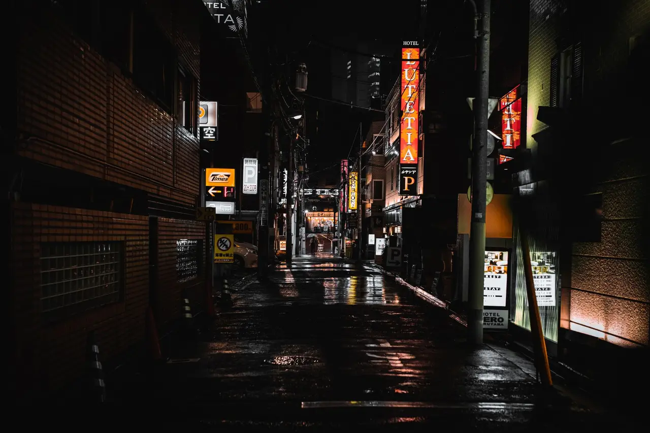 tokyo travel guide — Emma Roams