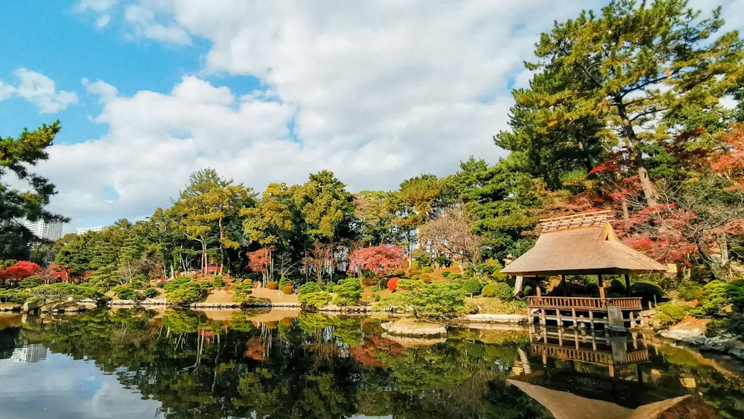 Hiroshima local experience — Emma Roams