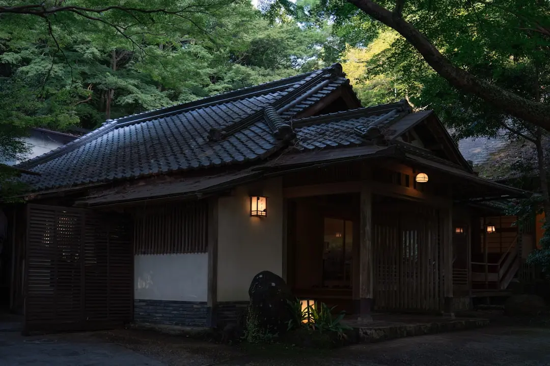 Nara local experience — Emma Roams
