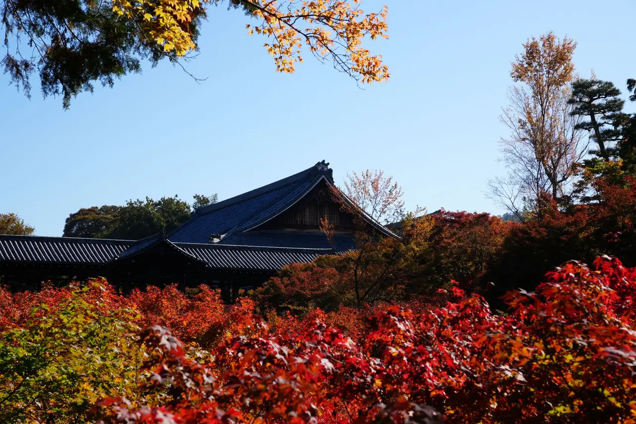 hiroshima Hiroshima Castle — Emma Roams