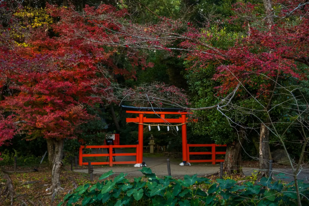 hiroshima Shukkeien Garden — Emma Roams