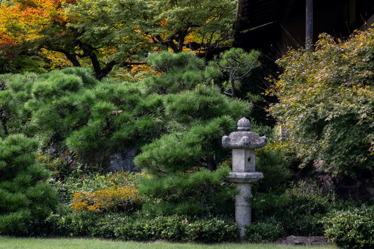 nagoya Castles — Emma Roams