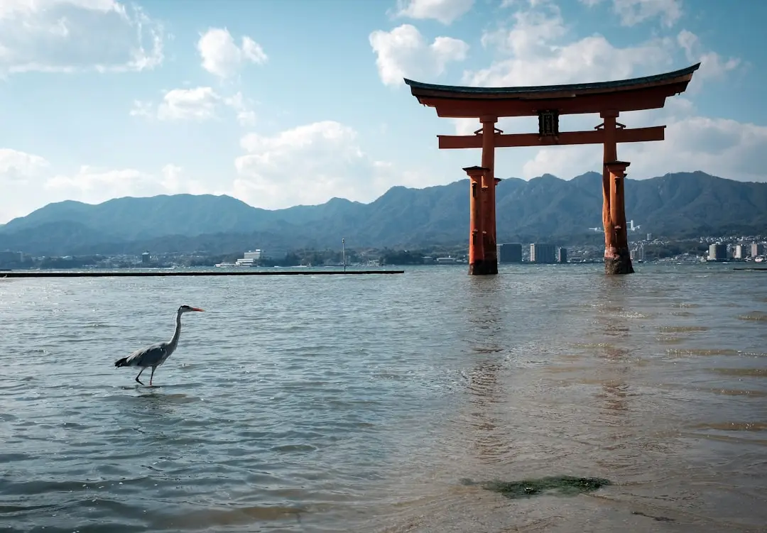 Hiroshima local experience — Emma Roams