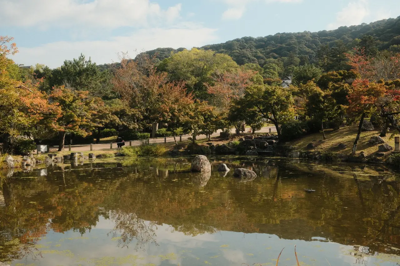 fukuoka Free viewpoints — Emma Roams