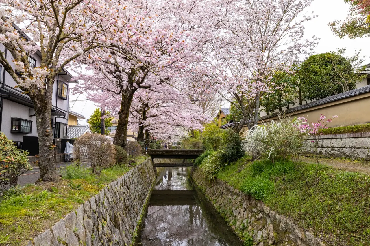 Fukuoka travel guide — Emma Roams