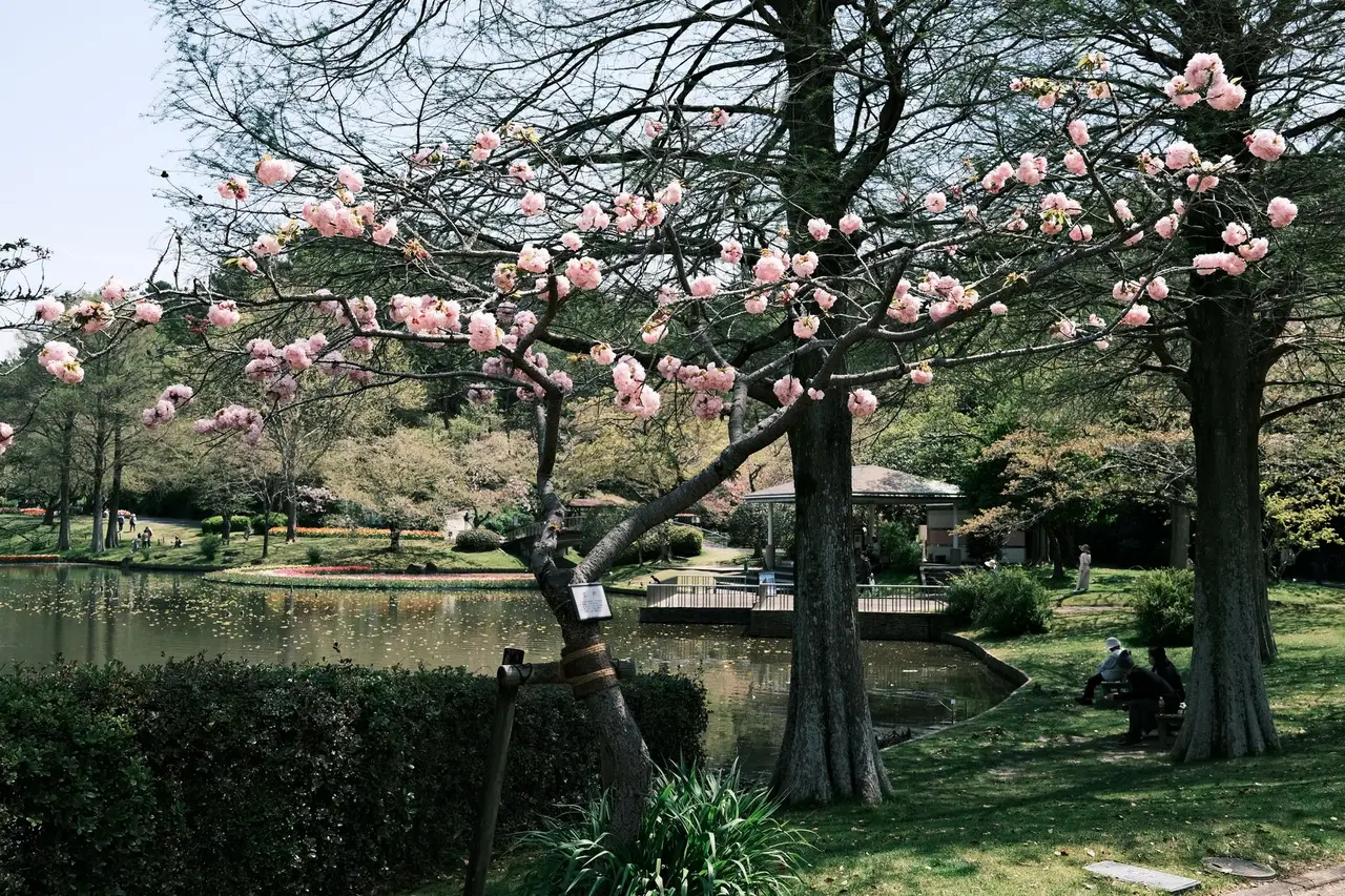 fukuoka Ohori Park — Emma Roams